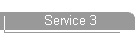 Service 3